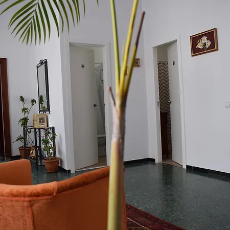 Casa Cinzia 3* 大加那利岛拉斯帕尔马斯