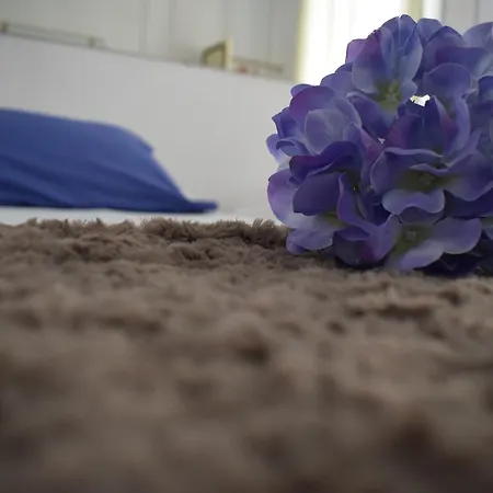 Casa Cinzia Bed and Breakfast 3*