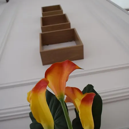 Casa Cinzia Bed & Breakfast Las Palmas de Gran Canaria