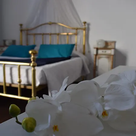 Casa Cinzia Λας Πάλμας ντε Γκραν Κανάρια